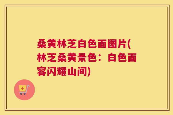 桑黄林芝白色面图片(林芝桑黄景色:白色面容闪耀山间) 桑黄林芝白色面图片(林芝桑黄景色:白色面容闪耀山间)