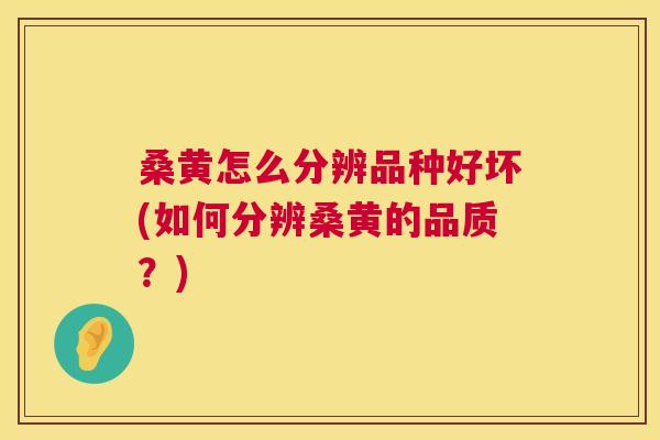 桑黄怎么分辨品种好坏(如何分辨桑黄的品质?) 桑黄怎么分辨品种好坏(如何分辨桑黄的品质?)