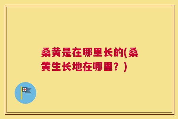 桑黄是在哪里长的(桑黄生长地在哪里?) 桑黄是在哪里长的(桑黄生长地在哪里?)