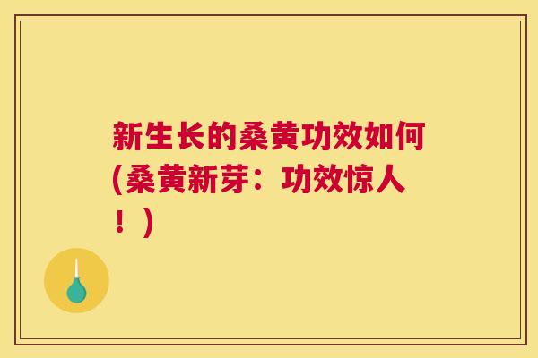 新生长的桑黄功效如何(桑黄新芽:功效惊人!) 新生长的桑黄功效如何(桑黄新芽:功效惊人!)