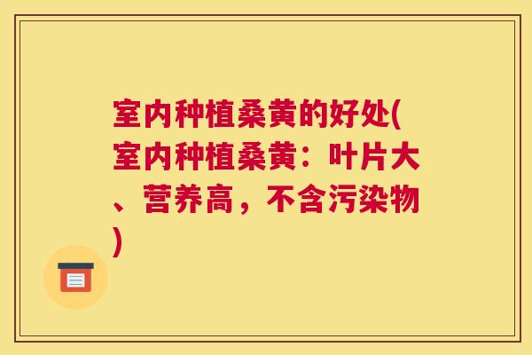 室内种植桑黄的好处(室内种植桑黄:叶片大、营养高,不含污染物) 室内种植桑黄的好处(室内种植桑黄:叶片大、营养高,不含污染物)