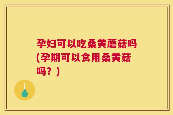 孕妇可以吃桑黄蘑菇吗(孕期可以食用桑黄菇吗?) 孕妇可以吃桑黄蘑菇吗(孕期可以食用桑黄菇吗?)