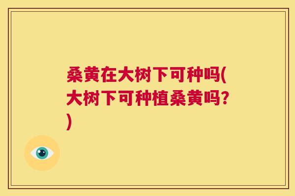 桑黄在大树下可种吗(大树下可种植桑黄吗?) 桑黄在大树下可种吗(大树下可种植桑黄吗?)