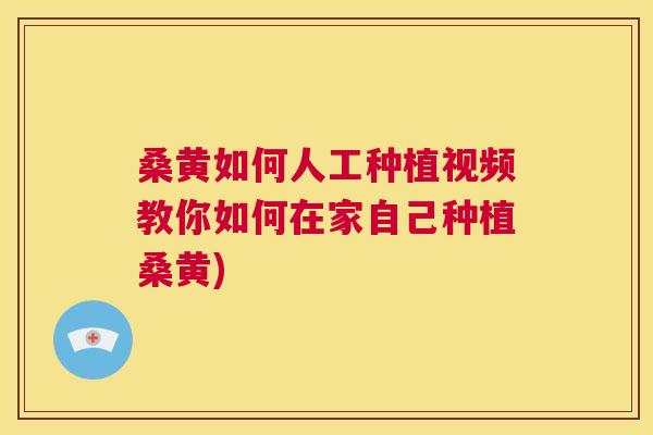 桑黄如何人工种植视频教你如何在家自己种植桑黄) 桑黄如何人工种植视频教你如何在家自己种植桑黄)