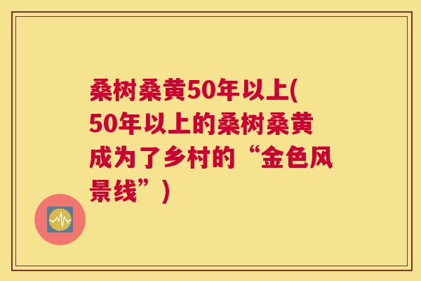 桑树桑黄50年以上(50年以上的桑树桑黄成为了乡村的“金色风景线”) 桑树桑黄50年以上(50年以上的桑树桑黄成为了乡村的“金色风景线”)