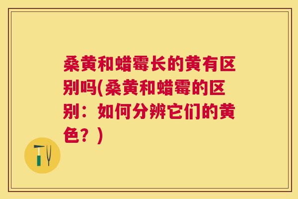 桑黄和蜡霉长的黄有区别吗(桑黄和蜡霉的区别:如何分辨它们的黄色?) 桑黄和蜡霉长的黄有区别吗(桑黄和蜡霉的区别:如何分辨它们的黄色?)