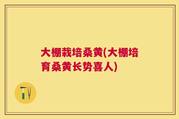 大棚栽培桑黄(大棚培育桑黄长势喜人) 大棚栽培桑黄(大棚培育桑黄长势喜人)