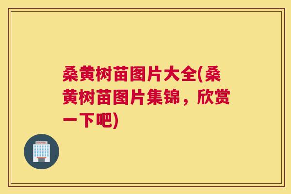 桑黄树苗图片大全(桑黄树苗图片集锦，欣赏一下吧)