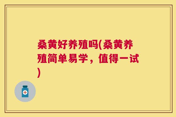 桑黄好养殖吗(桑黄养殖简单易学,值得一试) 桑黄好养殖吗(桑黄养殖简单易学,值得一试)