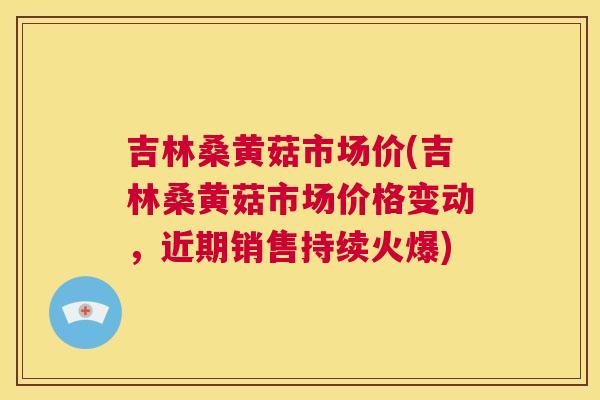 吉林桑黄菇市场价(吉林桑黄菇市场价格变动，近期销售持续火爆)