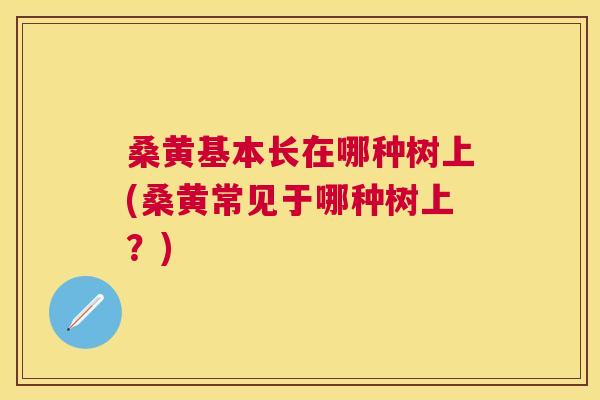 桑黄基本长在哪种树上(桑黄常见于哪种树上?) 桑黄基本长在哪种树上(桑黄常见于哪种树上?)