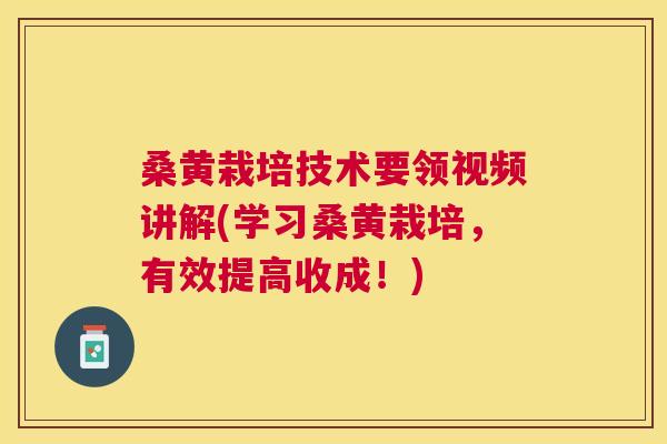 桑黄栽培技术要领视频讲解(学习桑黄栽培,有效提高收成!) 桑黄栽培技术要领视频讲解(学习桑黄栽培,有效提高收成!)