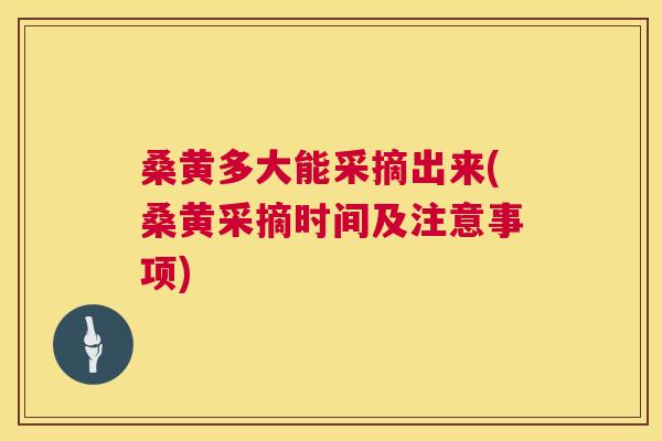 桑黄多大能采摘出来(桑黄采摘时间及注意事项) 桑黄多大能采摘出来(桑黄采摘时间及注意事项)