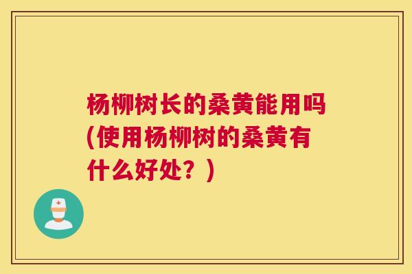 杨柳树长的桑黄能用吗(使用杨柳树的桑黄有什么好处?) 杨柳树长的桑黄能用吗(使用杨柳树的桑黄有什么好处?)