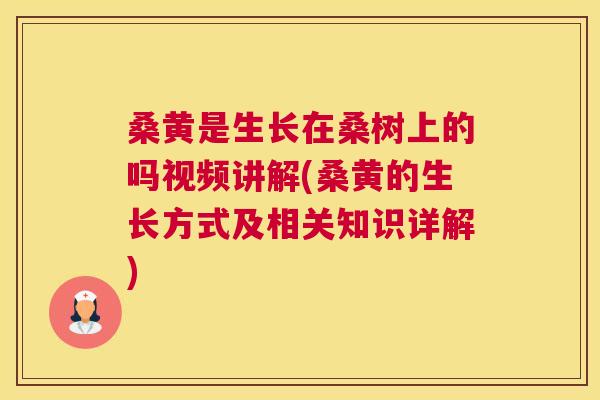 桑黄是生长在桑树上的吗视频讲解(桑黄的生长方式及相关知识详解) 桑黄是生长在桑树上的吗视频讲解(桑黄的生长方式及相关知识详解)