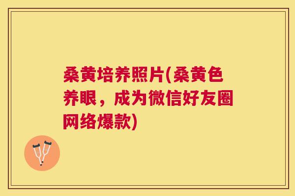 桑黄培养照片(桑黄色养眼,成为微信好友圈网络爆款) 桑黄培养照片(桑黄色养眼,成为微信好友圈网络爆款)