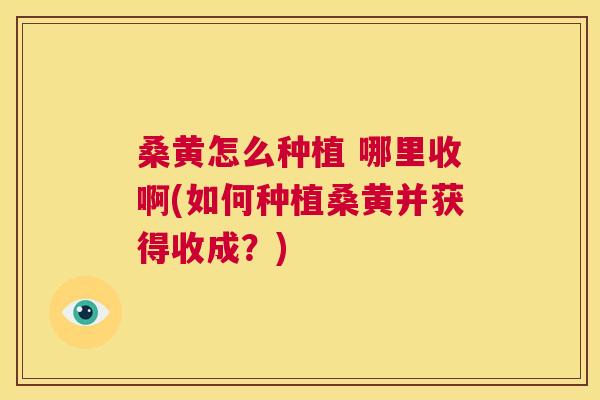 桑黄怎么种植 哪里收啊(如何种植桑黄并获得收成?) 桑黄怎么种植 哪里收啊(如何种植桑黄并获得收成?)