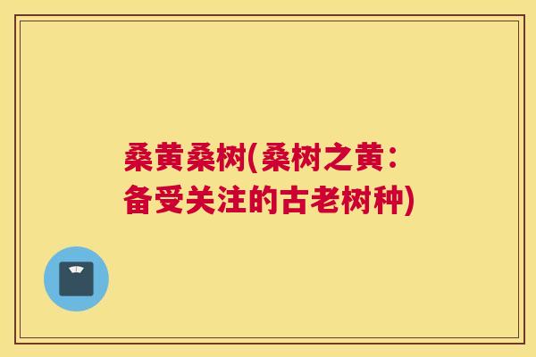 桑黄桑树(桑树之黄：备受关注的古老树种)