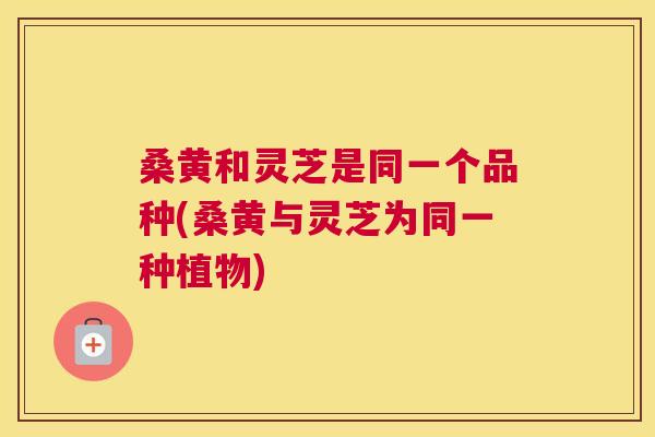 桑黄和灵芝是同一个品种(桑黄与灵芝为同一种植物) 桑黄和灵芝是同一个品种(桑黄与灵芝为同一种植物)