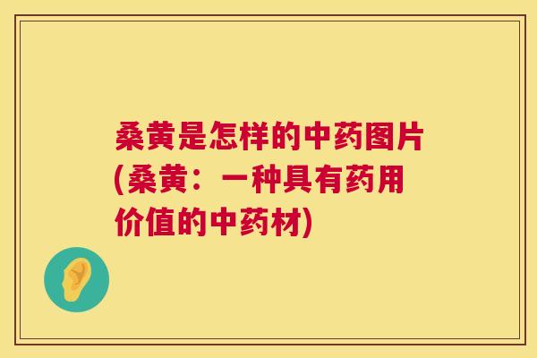 桑黄是怎样的图片(桑黄:一种具有药用价值的材) 桑黄是怎样的图片(桑黄:一种具有药用价值的材)