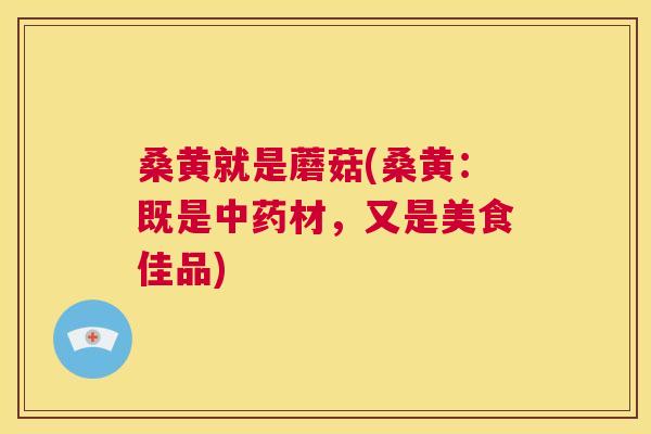 桑黄就是蘑菇(桑黄:既是材,又是美食佳品) 桑黄就是蘑菇(桑黄:既是材,又是美食佳品)