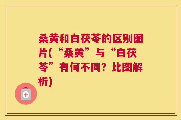 桑黄和白茯苓的区别图片(“桑黄”与“白茯苓”有何不同?比图解析) 桑黄和白茯苓的区别图片(“桑黄”与“白茯苓”有何不同?比图解析)