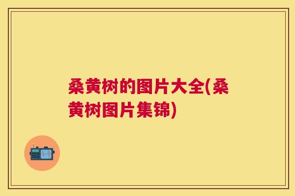 桑黄树的图片大全(桑黄树图片集锦)