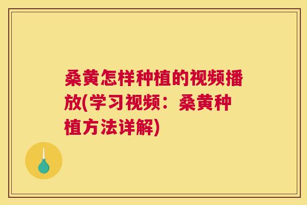 桑黄怎样种植的视频播放(学习视频:桑黄种植方法详解) 桑黄怎样种植的视频播放(学习视频:桑黄种植方法详解)