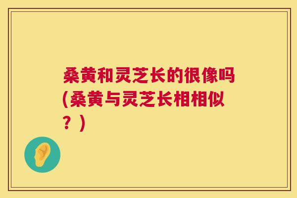 桑黄和灵芝长的很像吗(桑黄与灵芝长相相似?) 桑黄和灵芝长的很像吗(桑黄与灵芝长相相似?)