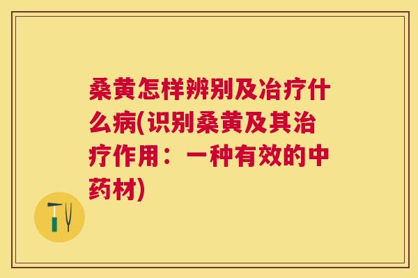 桑黄怎样辨别及冶疗什么(识别桑黄及其作用:一种有效的材) 桑黄怎样辨别及冶疗什么(识别桑黄及其作用:一种有效的材)