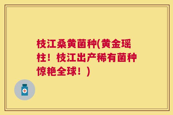 枝江桑黄菌种(黄金瑶柱!枝江出产稀有菌种惊艳全球!) 枝江桑黄菌种(黄金瑶柱!枝江出产稀有菌种惊艳全球!)