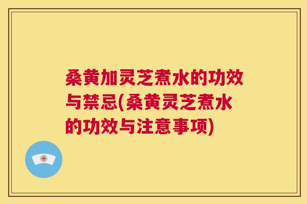 桑黄加灵芝煮水的功效与禁忌(桑黄灵芝煮水的功效与注意事项) 桑黄加灵芝煮水的功效与禁忌(桑黄灵芝煮水的功效与注意事项)