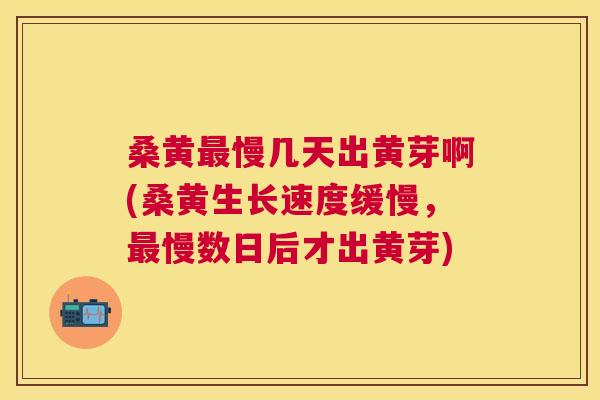桑黄慢几天出黄芽啊(桑黄生长速度缓慢,慢数日后才出黄芽) 桑黄慢几天出黄芽啊(桑黄生长速度缓慢,慢数日后才出黄芽)