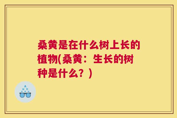 桑黄是在什么树上长的植物(桑黄:生长的树种是什么?) 桑黄是在什么树上长的植物(桑黄:生长的树种是什么?)