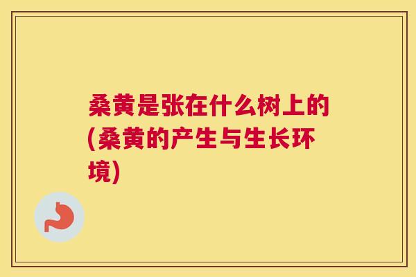 桑黄是张在什么树上的(桑黄的产生与生长环境) 桑黄是张在什么树上的(桑黄的产生与生长环境)