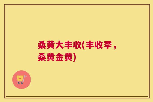 桑黄大丰收(丰收季,桑黄金黄) 桑黄大丰收(丰收季,桑黄金黄)