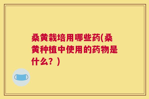 桑黄栽培用哪些药(桑黄种植中使用的是什么?) 桑黄栽培用哪些药(桑黄种植中使用的是什么?)