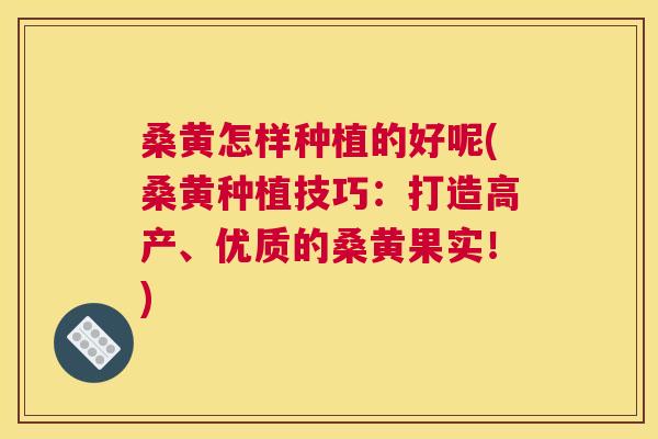 桑黄怎样种植的好呢(桑黄种植技巧:打造高产、优质的桑黄果实!) 桑黄怎样种植的好呢(桑黄种植技巧:打造高产、优质的桑黄果实!)
