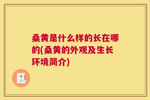 桑黄是什么样的长在哪的(桑黄的外观及生长环境简介) 桑黄是什么样的长在哪的(桑黄的外观及生长环境简介)