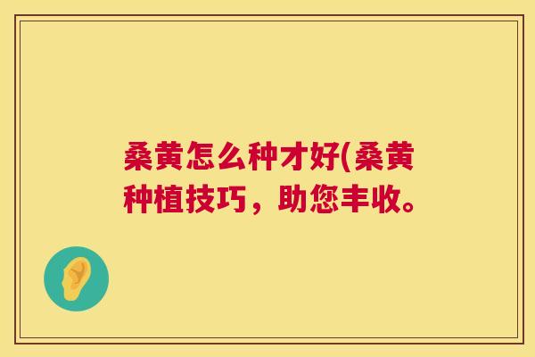 桑黄怎么种才好(桑黄种植技巧,助您丰收。 桑黄怎么种才好(桑黄种植技巧,助您丰收。