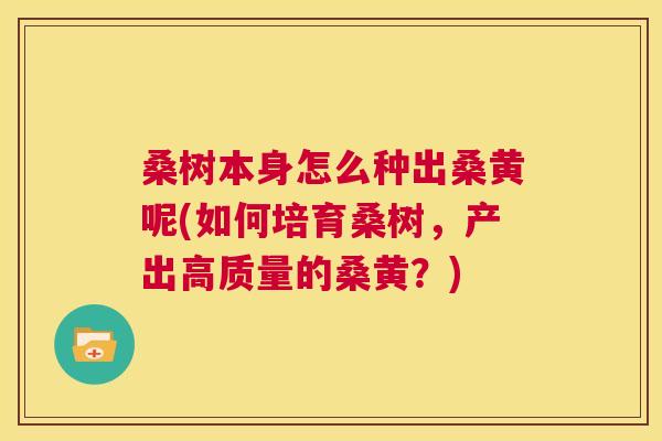 桑树本身怎么种出桑黄呢(如何培育桑树,产出高质量的桑黄?) 桑树本身怎么种出桑黄呢(如何培育桑树,产出高质量的桑黄?)