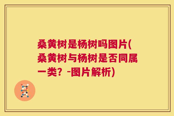 桑黄树是杨树吗图片(桑黄树与杨树是否同属一类？-图片解析)