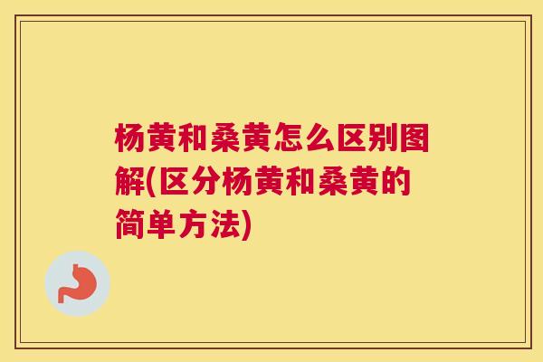 杨黄和桑黄怎么区别图解(区分杨黄和桑黄的简单方法) 杨黄和桑黄怎么区别图解(区分杨黄和桑黄的简单方法)
