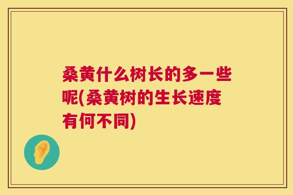 桑黄什么树长的多一些呢(桑黄树的生长速度有何不同) 桑黄什么树长的多一些呢(桑黄树的生长速度有何不同)