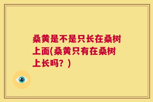 桑黄是不是只长在桑树上面(桑黄只有在桑树上长吗?) 桑黄是不是只长在桑树上面(桑黄只有在桑树上长吗?)