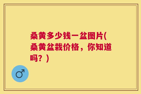 桑黄多少钱一盆图片(桑黄盆栽价格,你知道吗?) 桑黄多少钱一盆图片(桑黄盆栽价格,你知道吗?)