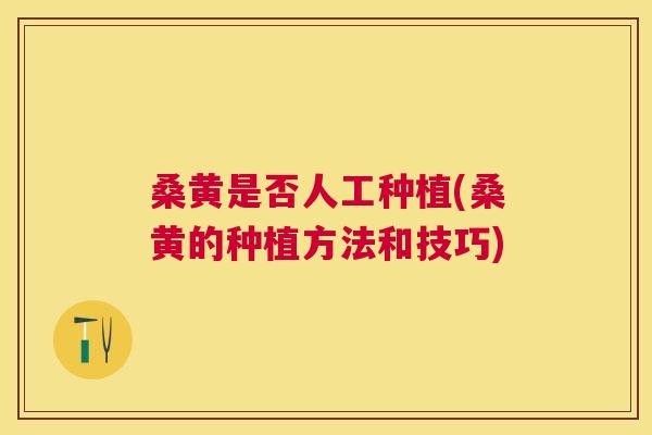 桑黄是否人工种植(桑黄的种植方法和技巧) 桑黄是否人工种植(桑黄的种植方法和技巧)