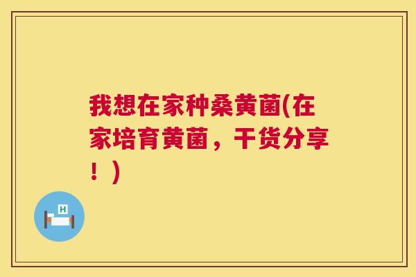 我想在家种桑黄菌(在家培育黄菌,干货分享!) 我想在家种桑黄菌(在家培育黄菌,干货分享!)
