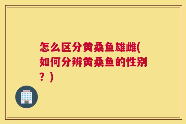 怎么区分黄桑鱼雄雌(如何分辨黄桑鱼的性别?) 怎么区分黄桑鱼雄雌(如何分辨黄桑鱼的性别?)