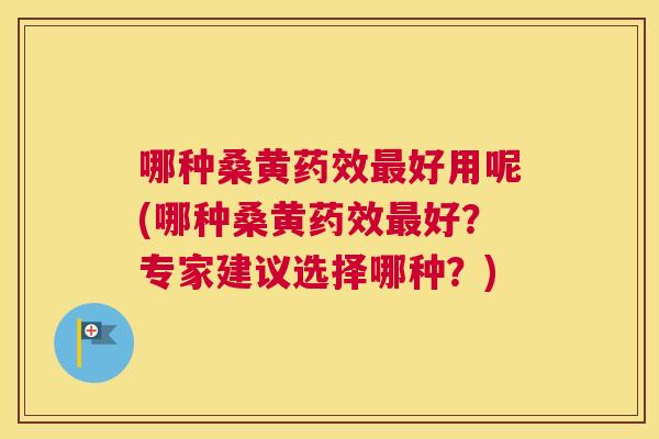 哪种桑黄好用呢(哪种桑黄好?专家建议选择哪种?) 哪种桑黄好用呢(哪种桑黄好?专家建议选择哪种?)